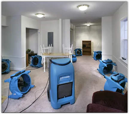 Drying & Dehumidification in Gibsonton, FL