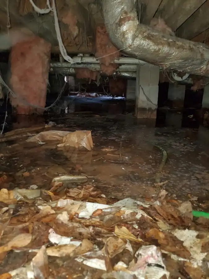 Crawl space flood assessment for Commercial Water Damage Restoration in Gibsonton