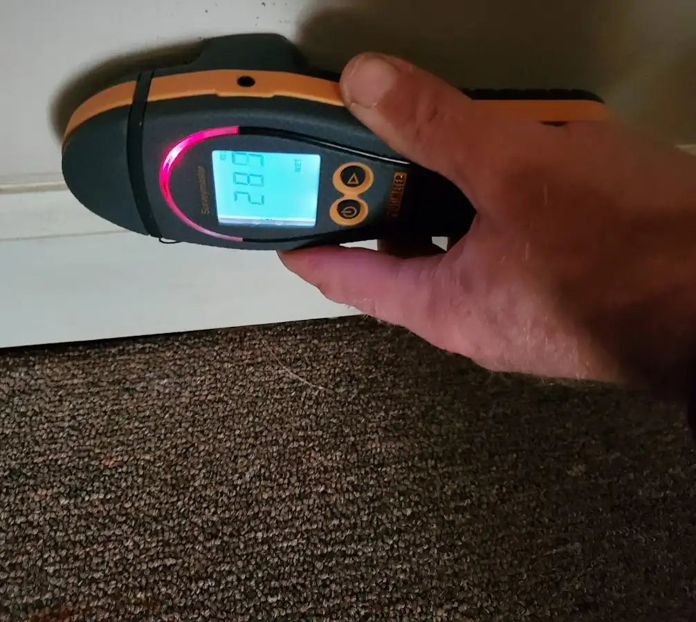 Moisture detection at baseboard during Mold Inspection & Testing in Gibsonton