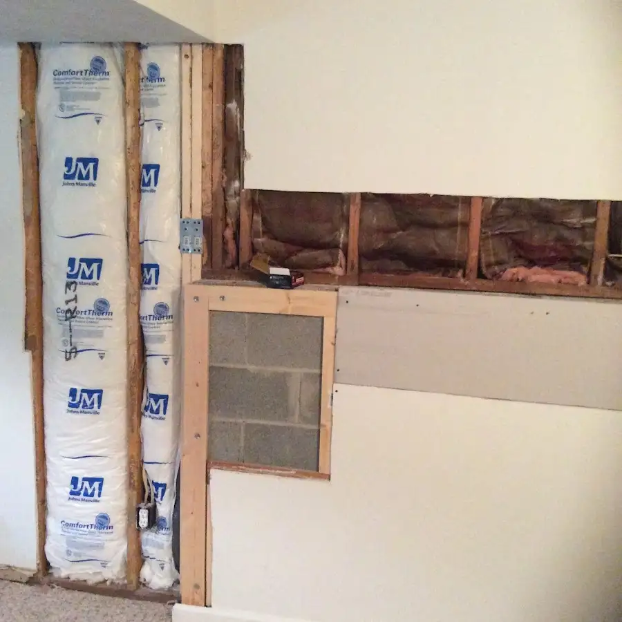 Wall insulation replacement during Odor Removal & Deodorization in Gibsonton